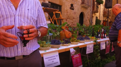 Día del vino de Cirauqui